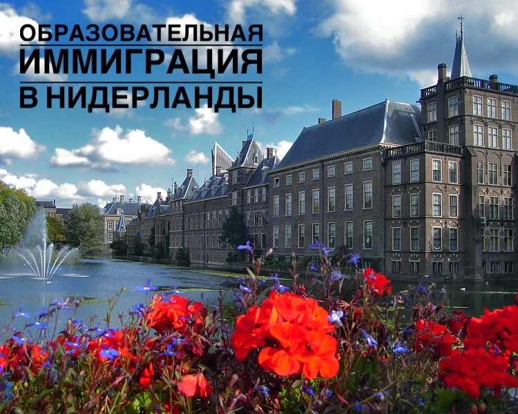 образование в Нидерландах